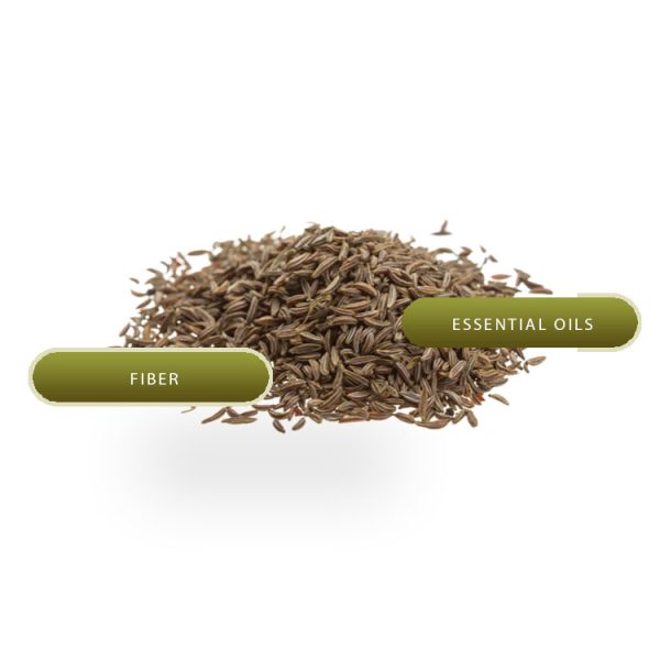 CARAWAY - Image 2