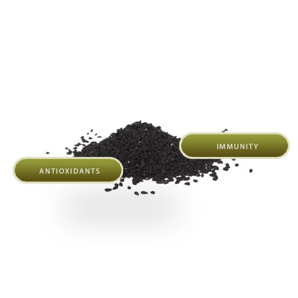 NIGELLA - Image 2
