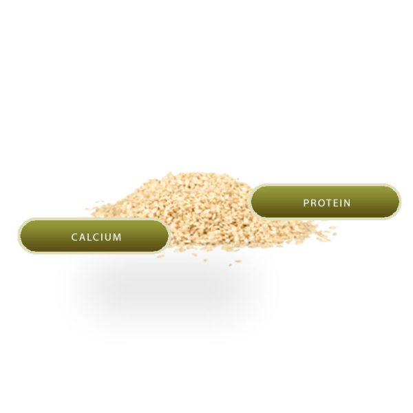 Organic Hulled sesame - Image 2