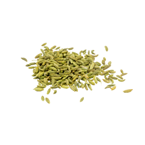 FENNEL