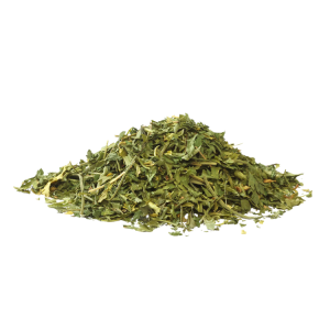 CILANTRO