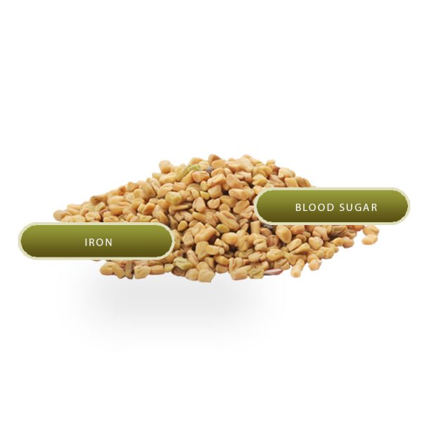 Fenugreek - Image 2
